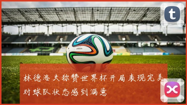 林德洛夫称赞世界杯开局表现完美对球队状态感到满意