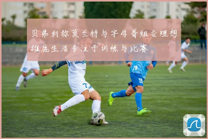 贝弗利称莫兰特与字母哥组合理想雄鹿生活专注于训练与比赛